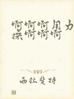 啊啊啊用力使劲操啊啊啊