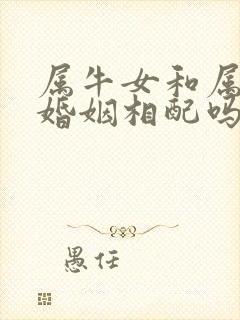 属牛女和属狗男婚姻相配吗封面