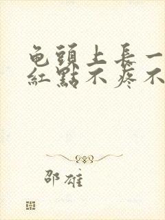 龟头上长一排红红点不疼不痒