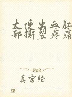 大便出血肛门内部撕裂疼痛