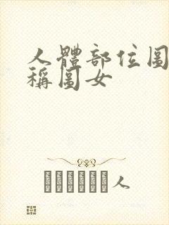 人体部位图及名称图女封面