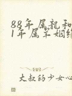 88年属龙和91年属羊姻缘怎么样封面
