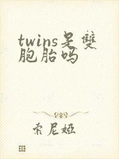 twins是双胞胎吗