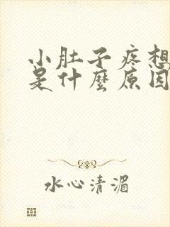 小肚子疼想拉尿是什么原因