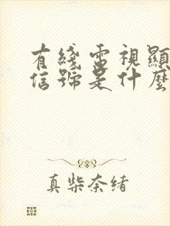 有线电视显示无信号是什么原因