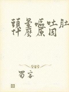 头晕呕吐肚子痛什么原因