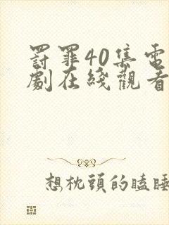 罚罪40集电视剧在线观看完整版