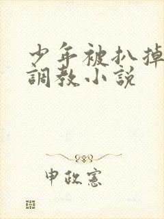 少年被扒掉裤子调教小说封面