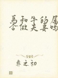 马和牛的属相适合做夫妻吗封面