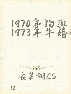 1970年狗与1973年牛婚配好吗