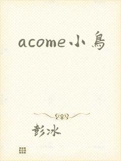 acome小鸟
