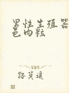 男性生殖器长白色肉粒