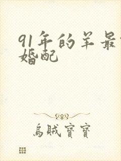 91年的羊最佳婚配