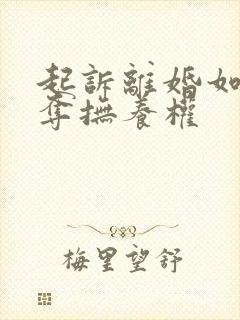 起诉离婚如何争夺抚养权