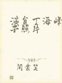 演员丁海峰的妻子照片