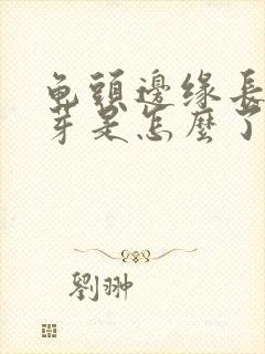 龟头边缘长小肉芽是怎么了封面