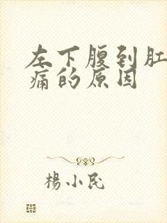 左下腹到肛门疼痛的原因