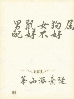 男鼠女狗属相婚配好不好封面