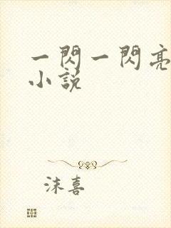 一闪一闪亮星星小说