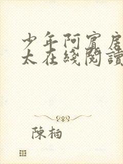 少年阿宾房东太太在线阅读txt