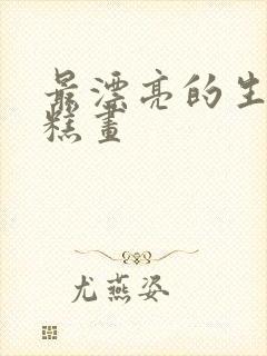 最漂亮的生日蛋糕画