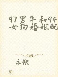 97男牛和94女狗婚姻配吗