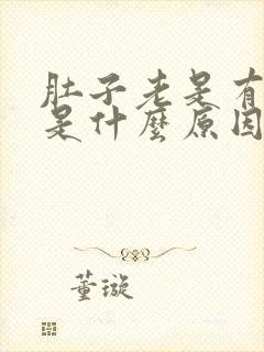 肚子老是有点疼是什么原因封面