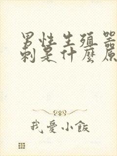 男性生殖器起粉刺是什么原因