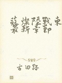 苏灿陆战东小说最新章节封面