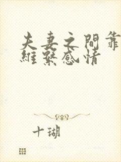 夫妻之间靠什么维系感情