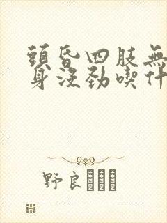 头昏四肢无力全身没劲吃什么药