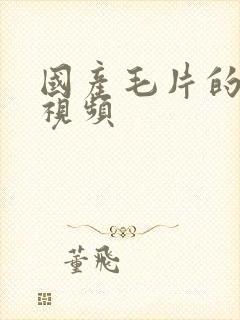 国产毛片的高清视频