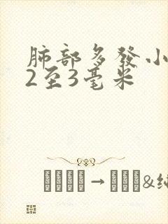 肺部多发小结节2至3毫米