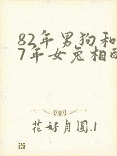 82年男狗和87年女兔相配婚姻如何