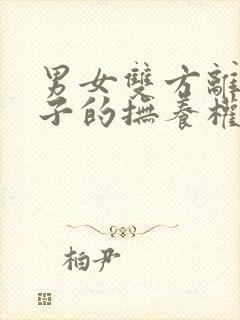 男女双方离婚孩子的抚养权归谁