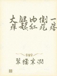 大腿内侧一抓就痒起红疙瘩