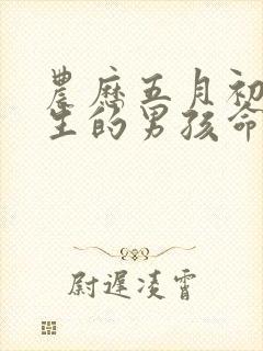 农历五月初四出生的男孩命运