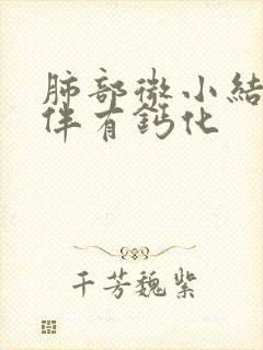 肺部微小结节并伴有钙化封面