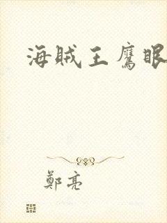 海贼王鹰眼的船