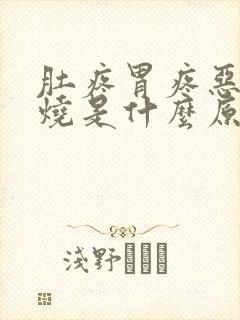 肚疼胃疼恶心发烧是什么原因