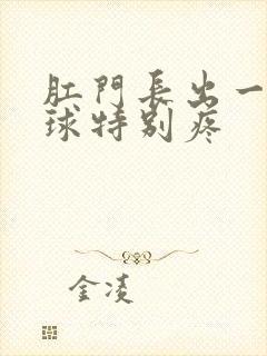 肛门长出一大肉球特别疼