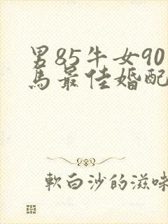 男85牛女90马最佳婚配