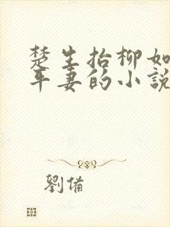 楚生抬柳如烟做平妻的小说