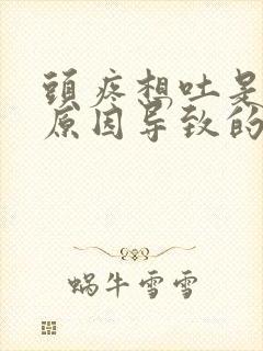 头疼想吐是什么原因导致的