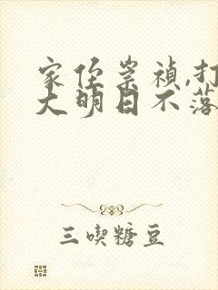 家侄崇祯,打造大明日不落txt免费下载全本