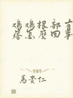 鸡鸡根部有小疙瘩怎么回事封面