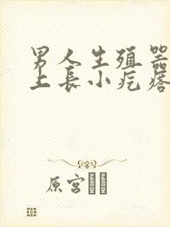 男人生殖器上面上长小疙瘩