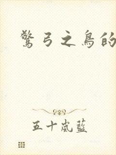 惊弓之鸟的寓言封面