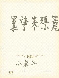 男性生殖器底部长了个小疙瘩是怎么回事