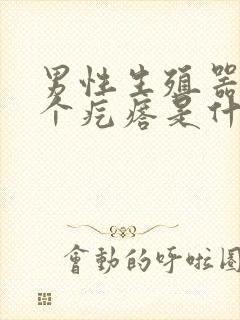 男性生殖器上长个疙瘩是什么原因封面